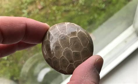Stones can be polished to a high sheen by using a wheel and various grits of sandpaper. . How to polish petoskey stones with a dremel